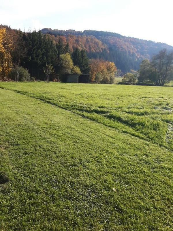 Guest house Haus Liesertal 3*